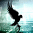 Black silhouette of a bird in flight against a pixelated background of blue and white tones.