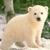 Static pixel art of a light-colored bear-like animal sitting upright on a light surface with green foliage in the background.