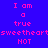Pixelated text on a blue and purple background with pink lettering, split into four quadrants showing identical phrases.