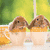 Two brown rabbits in white cups with orange liquid, against a green background; text changes from 'hi people' to 'happy pasta' to 'BYE!' across frames.