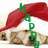 A dog wearing a red Santa hat with green text and small heart symbols appears in four showing changing text