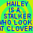 Blue pixelated text on a green and yellow gradient background reads 'HAILEY IS A... STALKER WHO LOOK AT CLOVERT' in two identical vertical