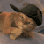 A pixelated brown cat wearing a black hat lies on a gray background with its eyes closed.