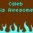 Brown background with cyan pixelated text reading "Caleb" twice and "is Awesomeis Awesome" below, plus a of cyan flames at the bottom