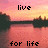 Pixelated sunset scene with water reflection, text fragments arranged in four quadrants.