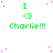 Green text and symbols on white background with scattered pink dots, repeating 'I <3 Charlie!!!' across multiple