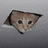 A cat's face peers through a torn hole in gray fabric, with subtle shifts in position across frames.