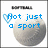 A pixelated soft ball icon with changing blue text and a heart symbol, displaying 'Not just a sport', 'Its a', and 'LIFESTYLE' across frames.