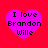 Four purple heart shapes on a red background, each containing the text "I love Brandon Wille" in black pixelated font.