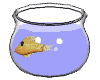 Animated sequence of a goldfish in a blue bowl with white bubbles, showing movement from left to right across frames.