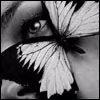Black-and-white close-up of a human eye with a butterfly wing overlay covering the lower half of the face.