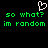 Pixelated green text on black background with white heart symbol above, displaying 'so what? im random' repeated twice.