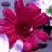 Pixelated image of a pink pansy flower with dark center, purple and white background elements, and green accents.