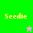 Green and pink background split with yellow text 'Seedie' on each side, two pixelated star icons in different colors.
