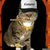 A pixelated cat wearing a chef's hat stands in an orange archway against black background, holding a wooden stick with both paws.