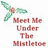 Pixelated green holly sprig with red berries above stacked text reading 'Meet Me Under The Mistletoe' in reddish-brown letters on white background.