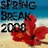Static pixelated image with blue sky, sandy beach background, red flower-like shape, and black text reading "SPRING BREAK 2008".