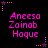 Pixelated pink text reading 'Aneesa Zainab Haque' repeated in a pattern on a black background with small pink star and dot accents