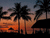 Pixelated sunset scene with palm trees silhouetted against orange and purple sky, dark water reflection below.