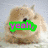 A four- shows a light brown rabbit-like creature with black eyes and small ears against a pale background, displaying sequential text overlays
