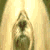 Animated icon shows a light-colored dog with dark spots standing against a bright background, transitioning to green text reading 'Original Icons .com' on the right.