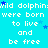 Cyan background with repeated white text 'wild dolphin were born to live and be free' surrounded by small blue stars.