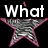 A star-shaped icon with pink outline and gray textured fill, displaying 'What' above and 'Star' below on black background.