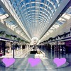 A static image of a modern architectural interior with a curved glass ceiling, three purple heart shapes at the bottom, and a central pathway flanked by columns.