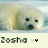 Animated contact sheet showing two frames of a polar bear icon with text 'Jasha' and double checkmark symbols on a light background.