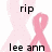 A pink ribbon symbol appears with text elements 'rip', '<3', and 'lee ann' on a white background, transitioning to include 'mom' below.