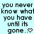 Static image of repeated text "you never know what you have until its gone.." with a red heart symbol on a light blue background.