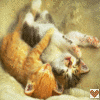 Two cats lying on their backs in a relaxed pose with one cat nuzzling the other, set against a soft beige background and featuring a small heart icon in the corner.