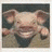 Pixelated image of a smiling pig-like character with large ears and pink skin, next to purple text reading "Smile like ya mean it!!" on white background.