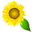 Pixelated sunflower with yellow petals, brown center, and green leaf on gray background.