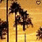 Pixelated palm trees sway against a golden sunset sky with scattered clouds, rendered in low-resolution animation.