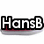 Pixelated text 'HansB Loves Vans!!!' with a shoe graphic, displayed in four quadrants on white and gray backgrounds.