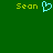 Green background with yellow text 'Sean' on left and right, a cyan pixelated heart symbol between them.