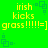 Green background displays yellow text 'irish kicks grass !!!!:=]' with blue pixelated square patterns in corners and center.