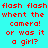 Red pixelated text on cyan background repeats 'flash flash when the camera! or was it a girl?' in two identical vertical