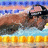 Pixelated image of a swimmer in mid-stroke with goggles, surrounded by water and yellow lane markers.