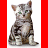 Pixelated static image of a seated cat with mixed gray, brown, and white fur against a red-and-white background.
