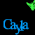 Blue text 'Cayla' repeated in a pattern with green butterflies on a black background, some butterflies animated