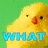 A yellow chick with a red beak and black eyes appears in four against green backgrounds, displaying text overlays
