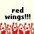 Pixelated text 'red wings!!!' appears above a repeating red and white pixel art pattern on a light background.