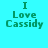 six identical text-based icons with cyan backgrounds and yellow rectangular overlays, each displaying "I Love Cassidy" in green pixelated font