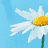 A static image of a white daisy with yellow center on blue background, red and white figure bending over dark backdrop, black-and-white penguin face, colorful striped ribbons, and simple smiley face.