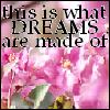 Pink orchids with green leaves fill the background beneath bold black text reading "this is what DREAMS are made of" in a pixelated font.