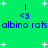 Green background with white plus signs, blue text reading 'albino rats', and blue '<3' symbols above the text in two