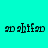 Pixelated text 'ad shifan' on cyan background with cyan rectangular overlays in four quadrants.