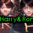 Four Harry Potter character portraits arranged in a with text labels, each portrait showing distinct facial features and expressions